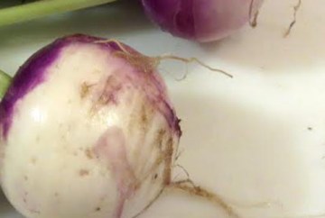 Home.Stead Bakery & Cafe, Fields Corner, Dorchester MA