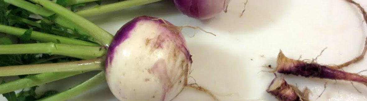 Home.Stead Bakery & Cafe, Fields Corner, Dorchester MA